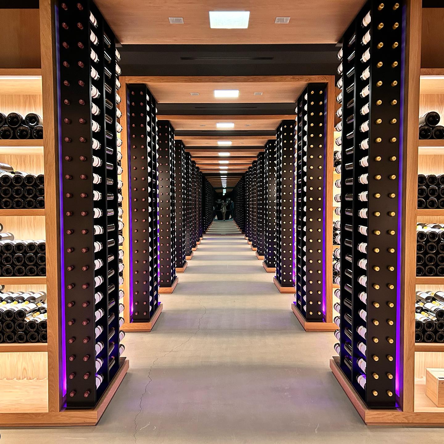 Club del Pisco y Vino Peruano